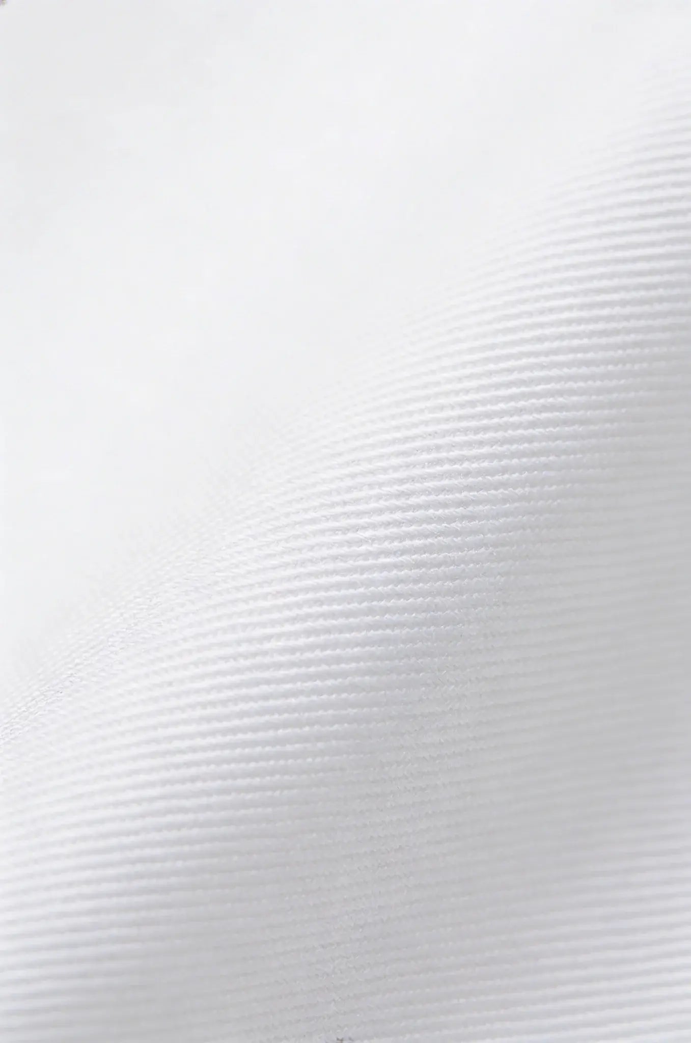Blutailor