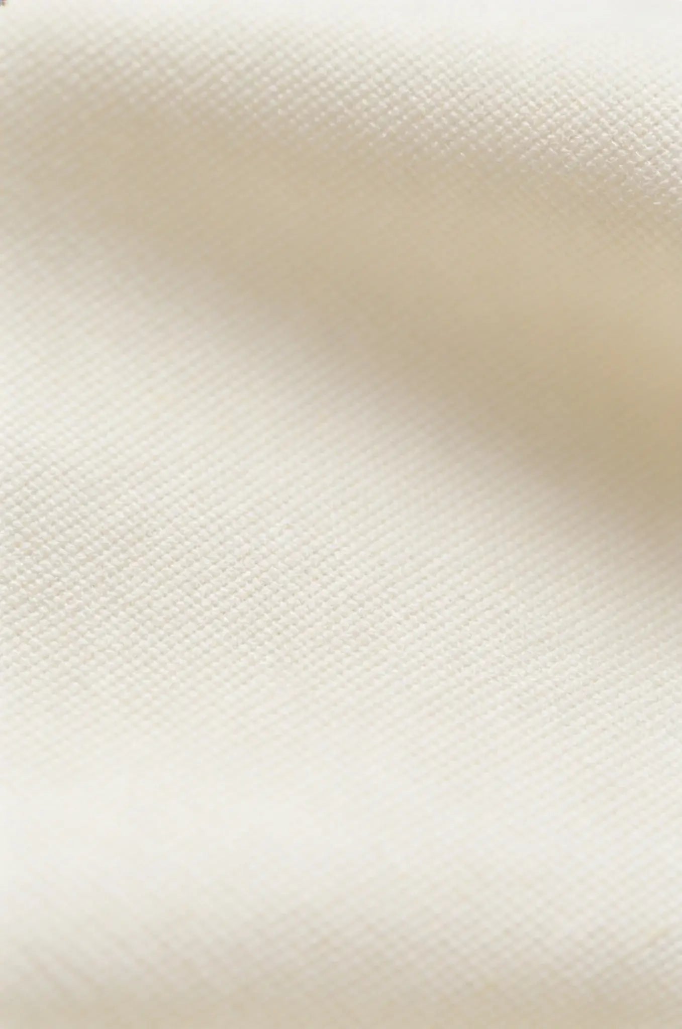 Blutailor