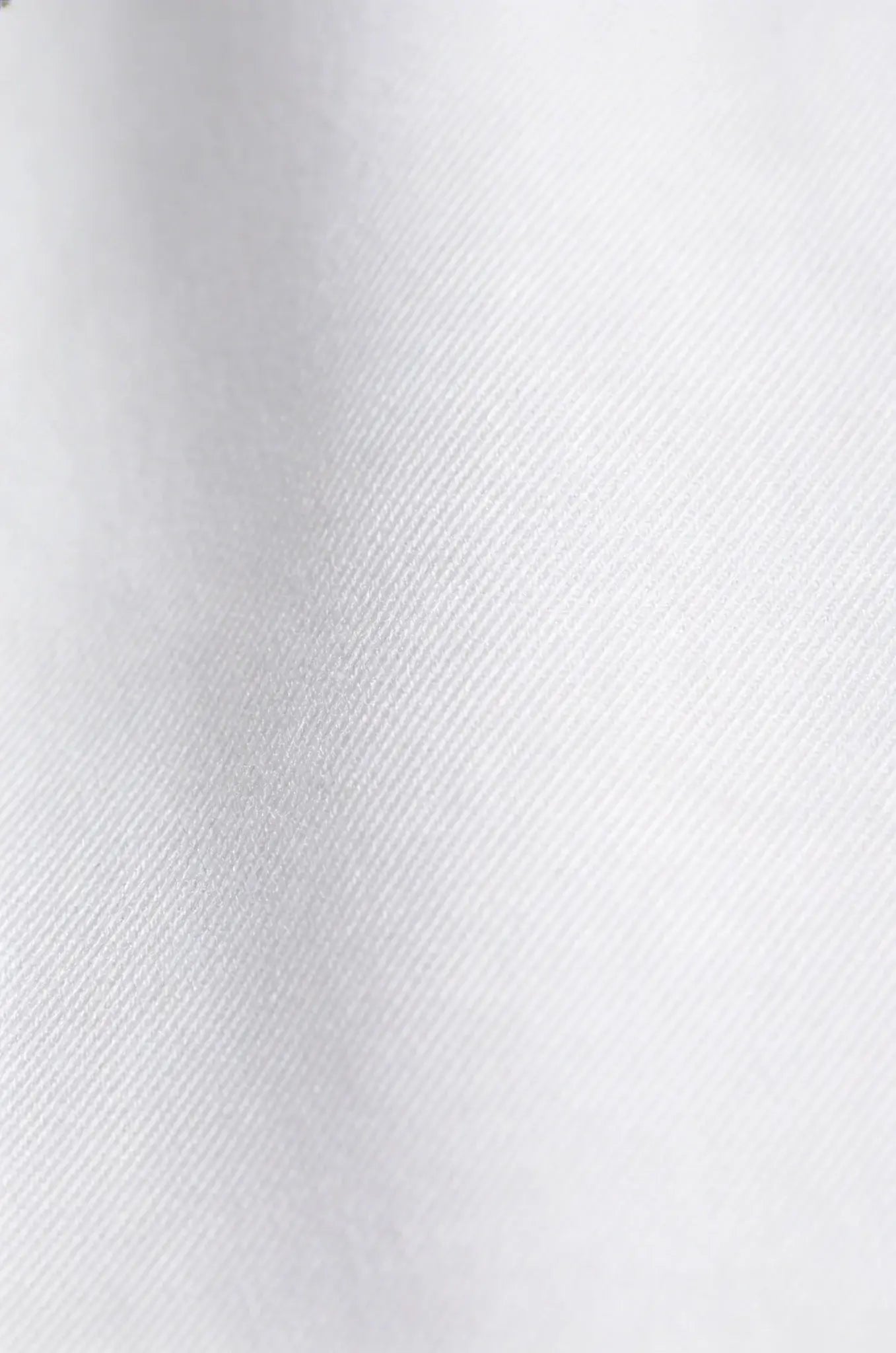 Blutailor